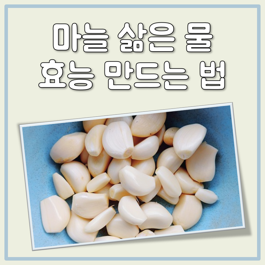 마늘 삶은 물 효능 삶는 시간 만드는 법 주의점