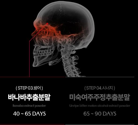 니프젠 효능 효과