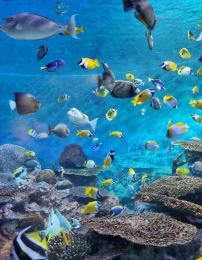 서울 비오는날 가볼만한곳 BEST 10 