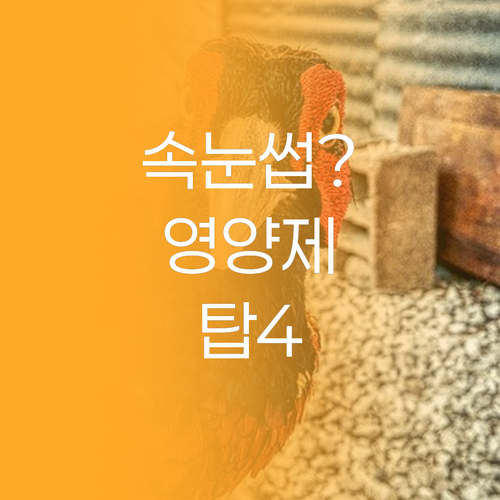 진짜 후기로 모은 속눈썹 영양제 추천..