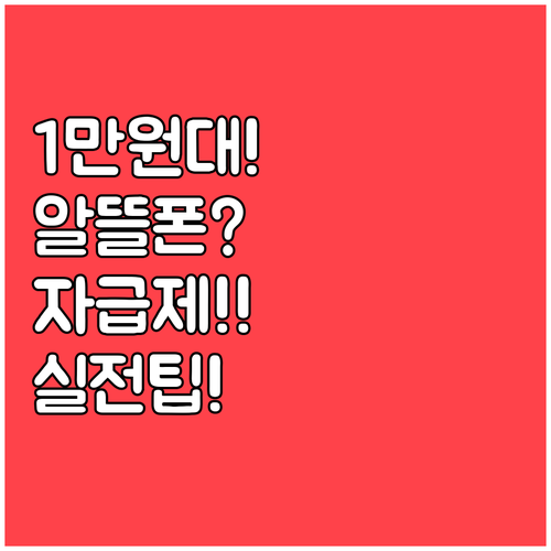 알뜰폰 요금제 월 1만원대부터 자급제..