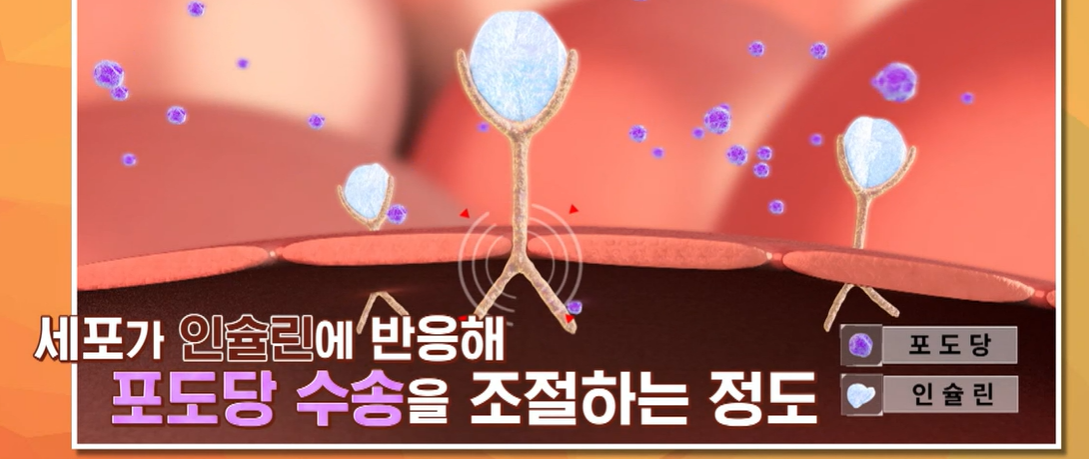 흑염소 진액 효능