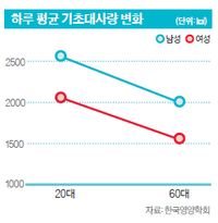 기초대사량의 변화