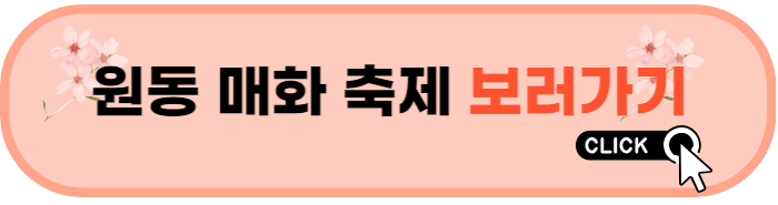 2023 양산 매화 축제