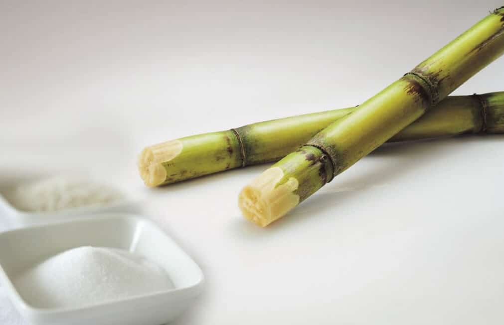 폴리코사놀 부작용 2