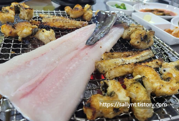 붕장어의 영양 성분