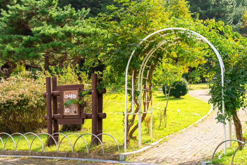 노을/명소/포항/핫플레이스/환호공원/스페이스/워크