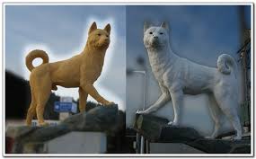 2026 개띠 신년운세 알아보기