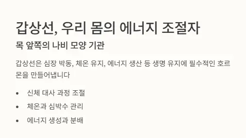 갑상선-기능