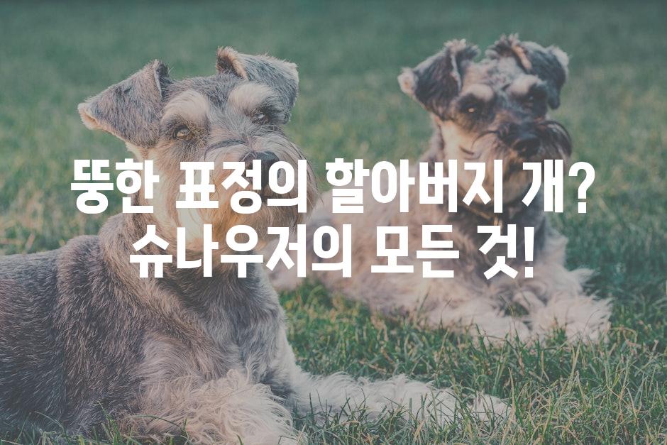 Schnauzers 7