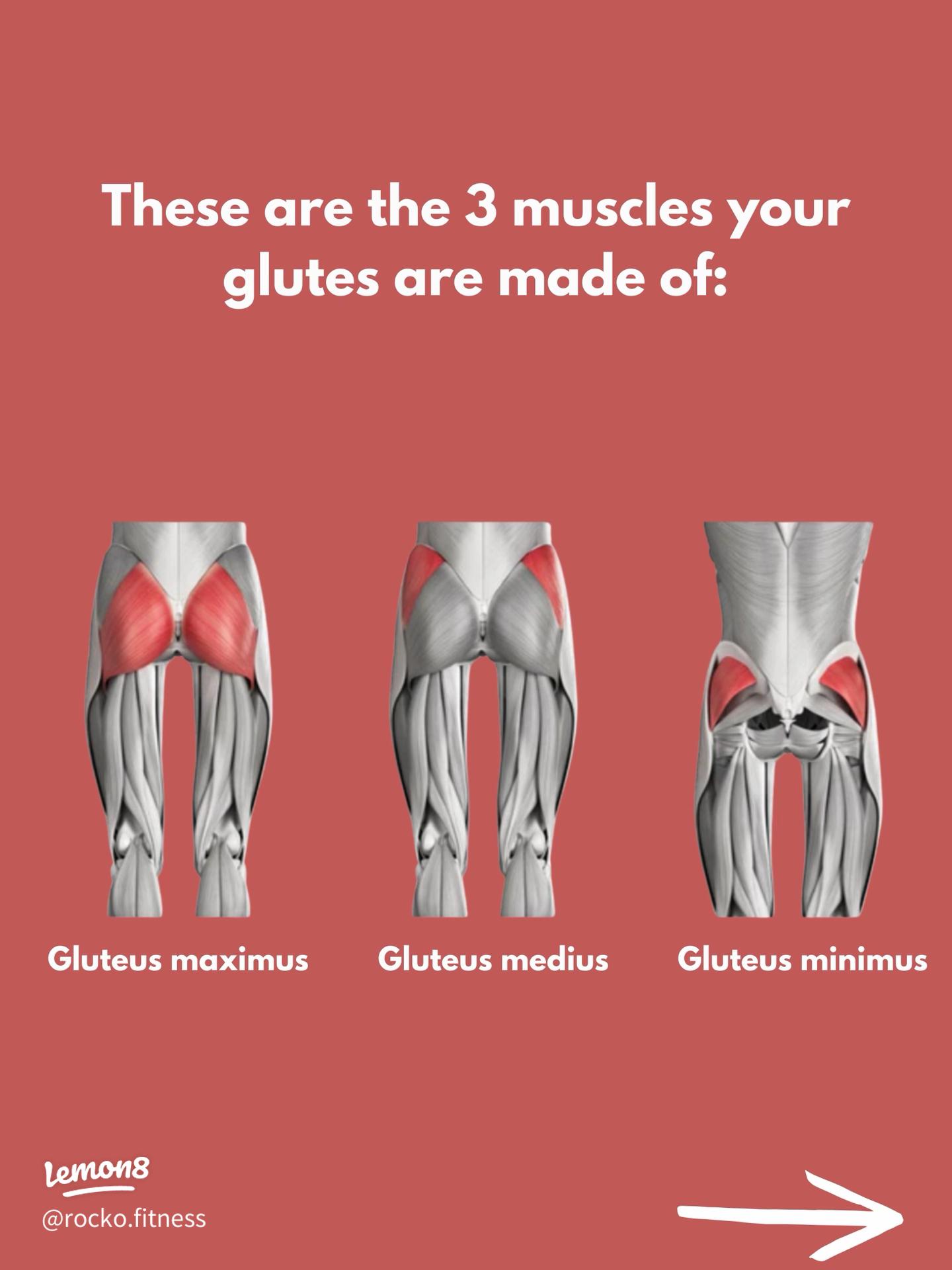 엉덩이 근육 중요성