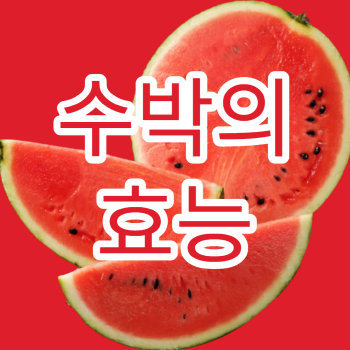 수박, 건강효과 높고 &lsquo;식단의 질&rsquo;까지? (항산화작용, 체내 수분균형)