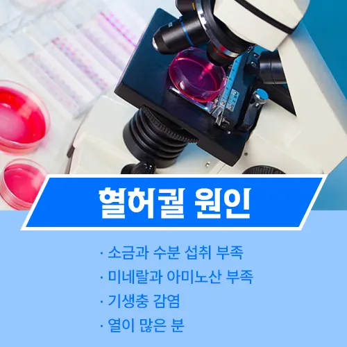 혈허궐 빈혈
