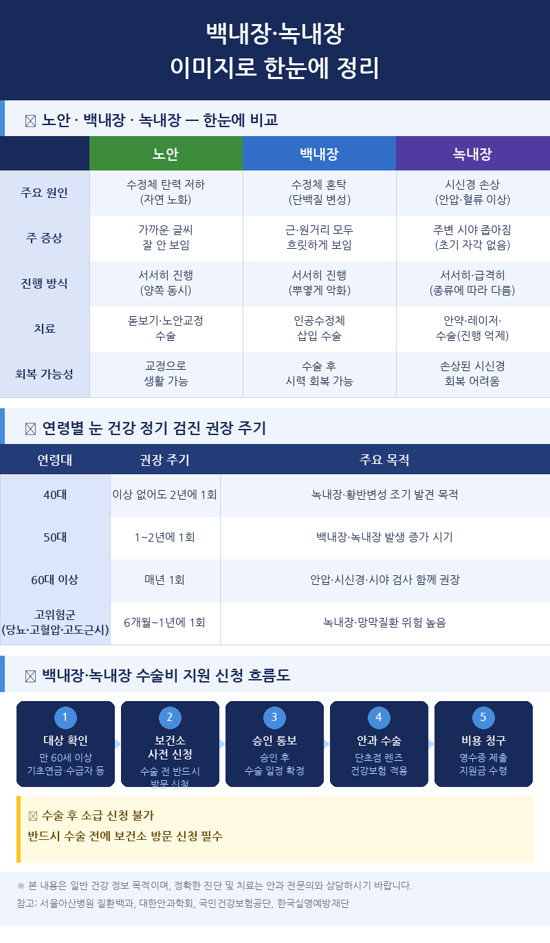 백내장 녹내장 노안 차이 연령별 검진 주기 수술비 지원 신청 흐름도