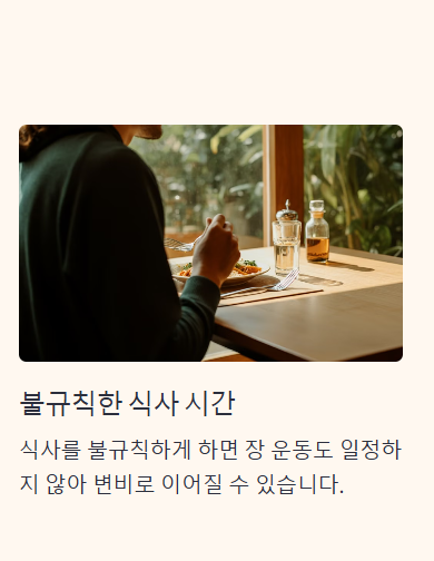변비 원인