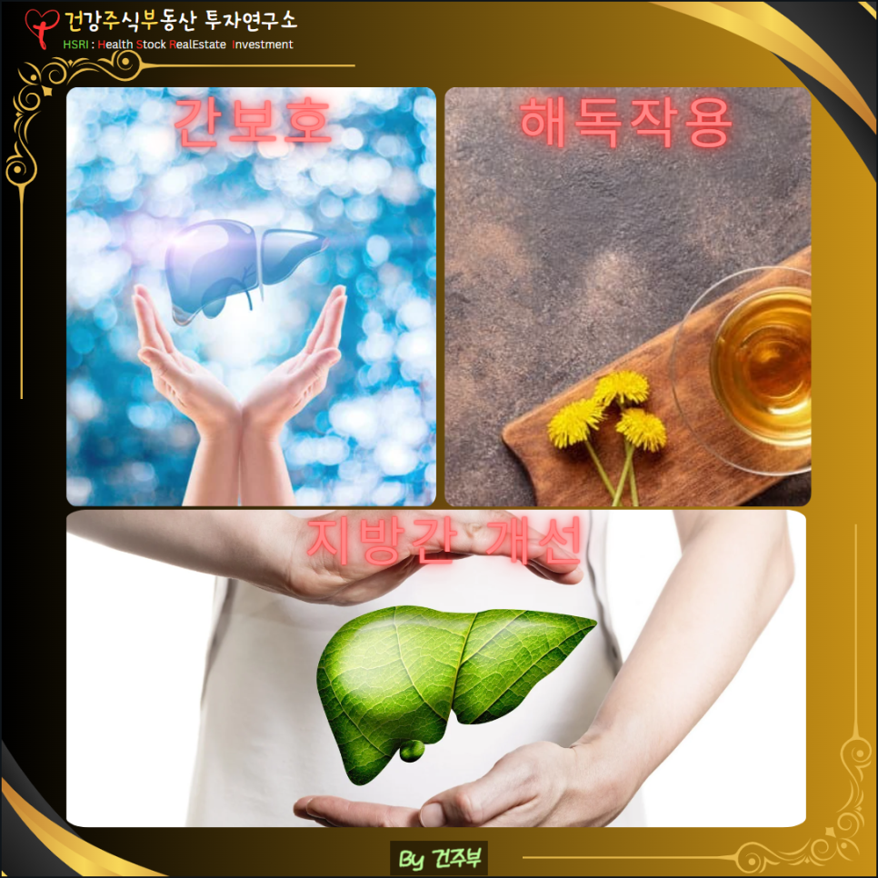 밀크씨슬 효능과 섭취법
(글 그림 : 건주부, 그림 출처 : Canva)