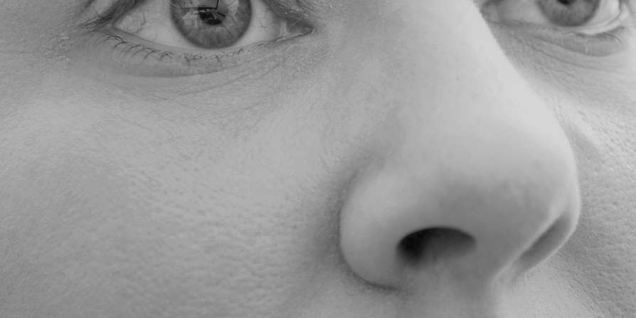 코와 눈을 가까이서 찍은 사진