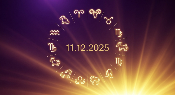 2025년 11월12일 오늘의 운세