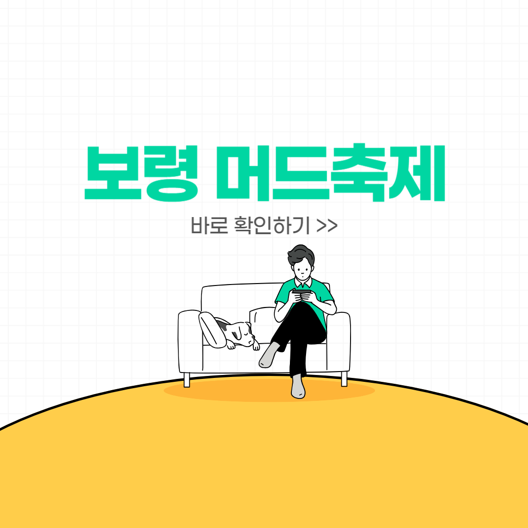 2024 보령머드축제 일정, 입장권, 프로그램, 공연 라인업