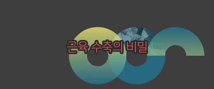 종아리 쥐나는 이유 자세히 알아볼게요