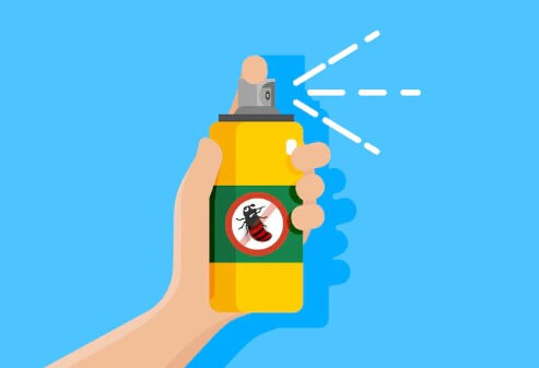 러브-버그-출몰-시기-퇴치-방역-6