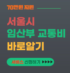 서울시 임산부 교통비 지원