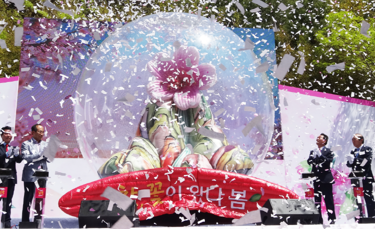 비슬산 참꽃축제