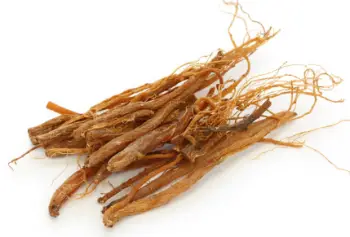 홍삼 효능 및 영양성분, 주의점