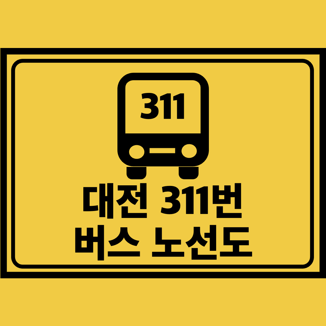 대전311번버스노선도