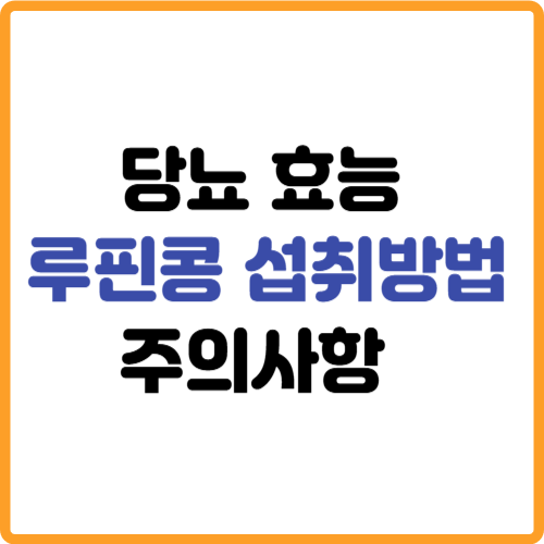 루핀콩 당뇨효능 섭취방법 주의사항 관련 사진