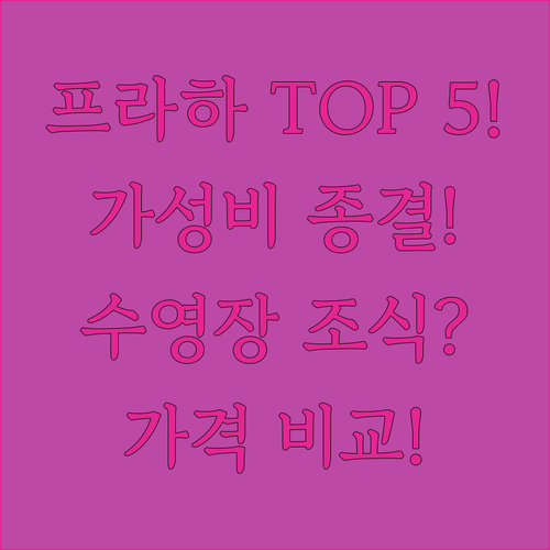프라하 가성비 호텔 TOP 5 수영장..