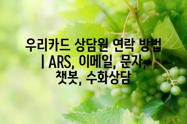 랜덤101