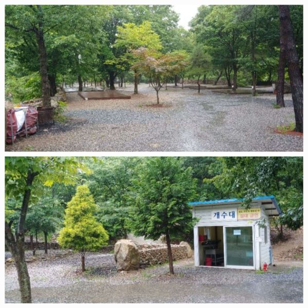 캠핑장내사이트
