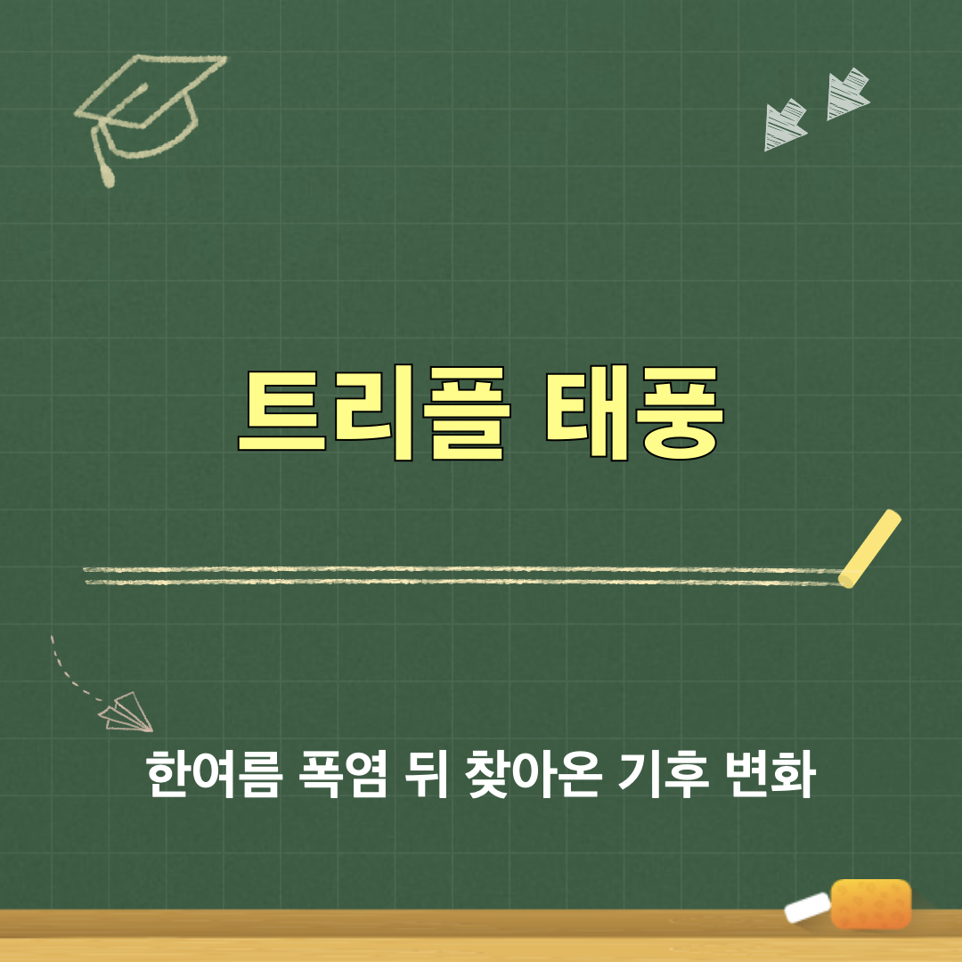 트리플_태풍