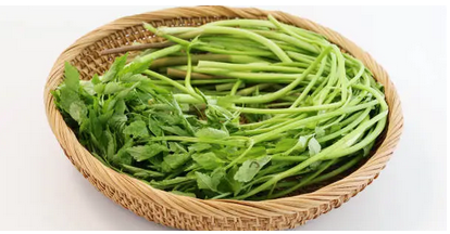 봄 식탁을 풍성하게 만드는 제철 식재료 밥상