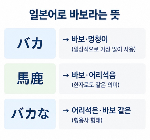 바카와 바카나의 일본어 표기와 뜻을 간단히 비교한 이미지