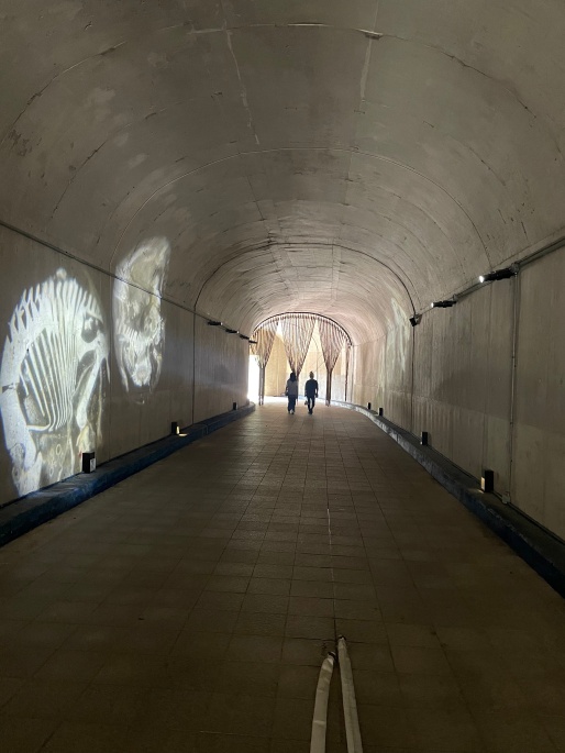 비봉공룡공원-1