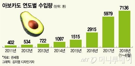 아보카도 효능