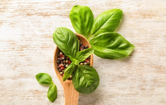 바질, basil