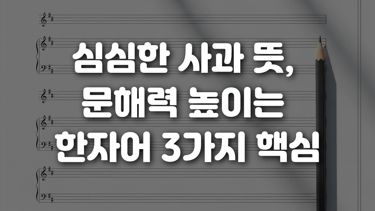 심심한 사과 뜻 문해력 높이는 한자어 3가지 핵심