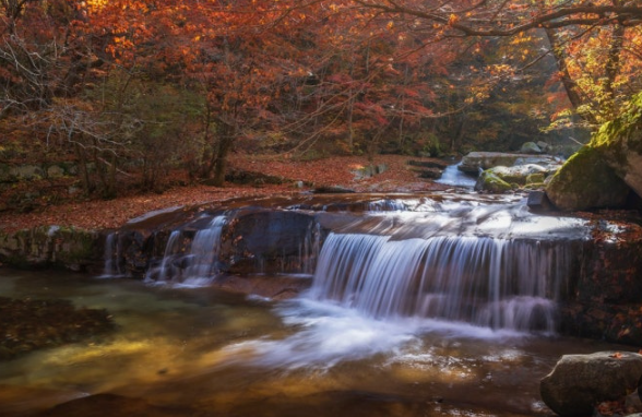 2025 방태산 단풍 시기 지도 & 등산 코스별 추천 일정 ❘ 인제 여행