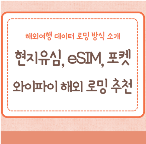현지유심, eSIM, 포켓와이파이 해외 데이터 로밍 추천/장단점