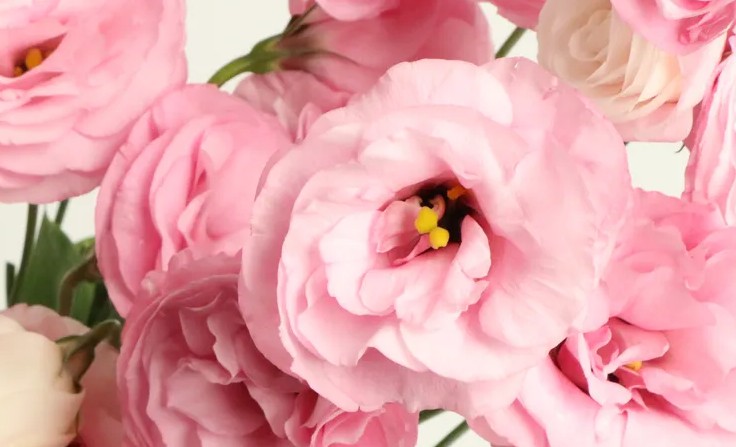 연인에게 주는 꽃 선물