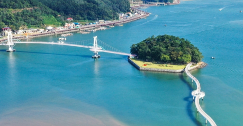 광양 매화 축제 2025 - 봄의 시작을 알리는 아름다운 축제
