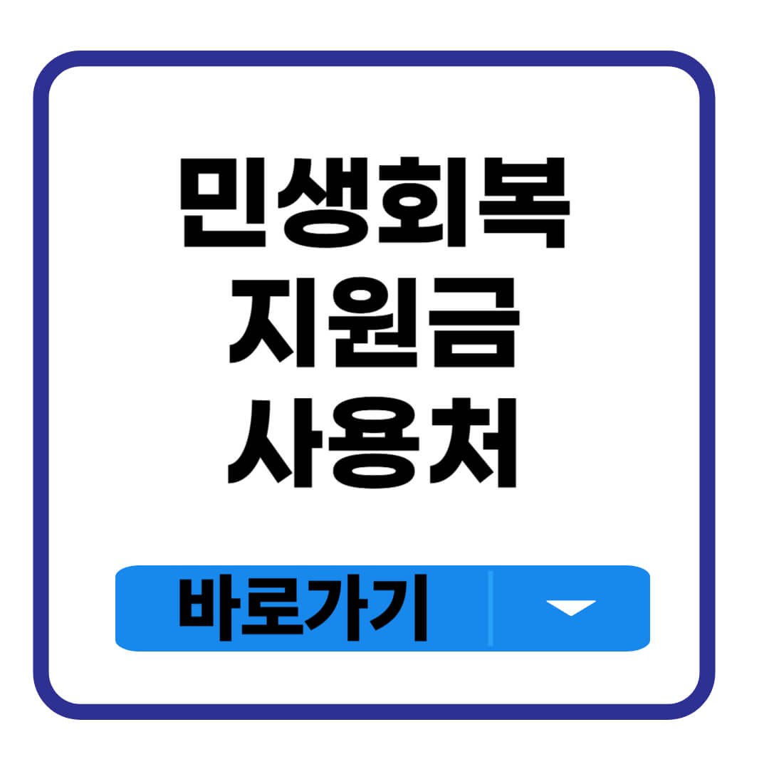 민생회복 지원금 사용처