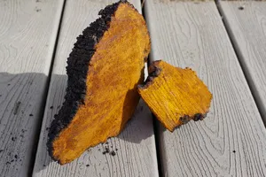 췌장암에 좋은 음식