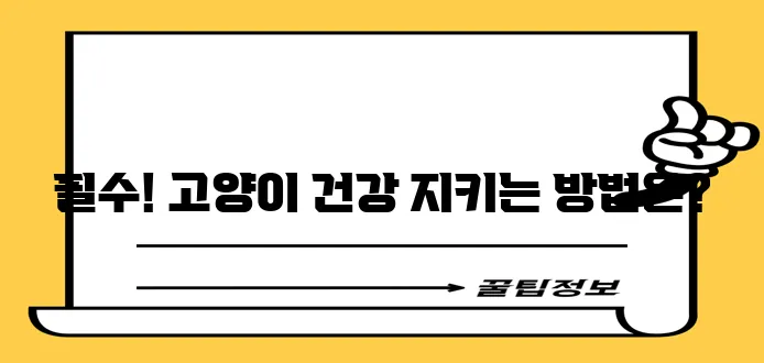 고양이 예방 접종은 반려묘를 질병으로부터 확실히 지키는 방법입니다!