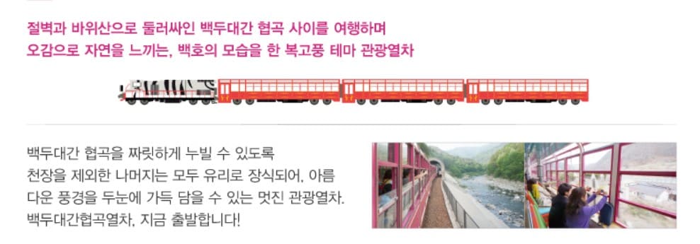 국내기차여행 강원도