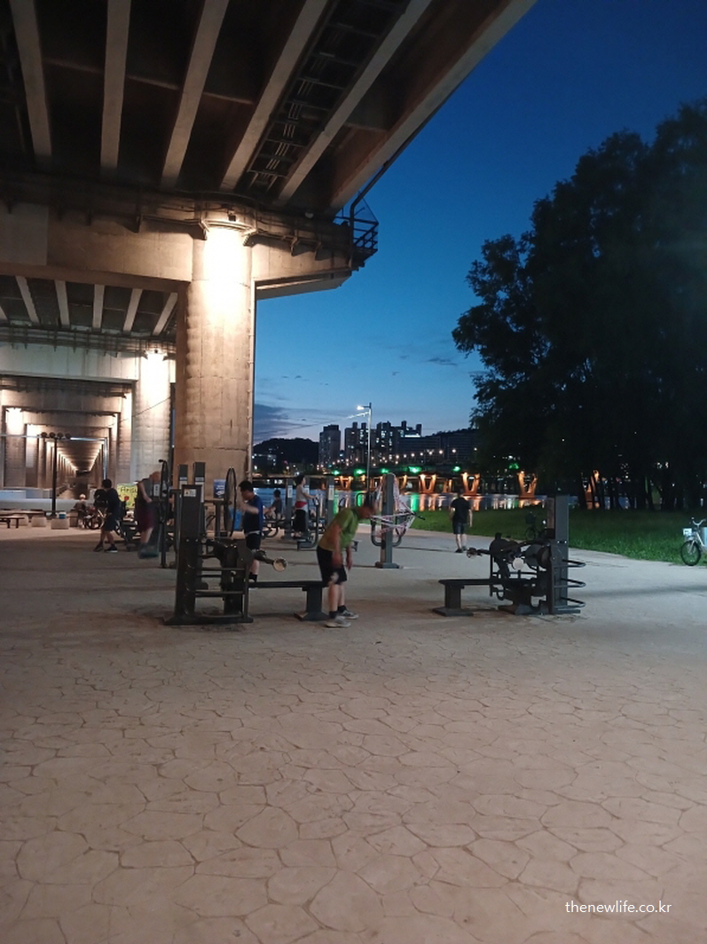 한강 다리 아래 설치된 공원 운동기구에서 운동하는 사람들