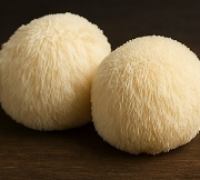 노루궁뎅이버섯 효능